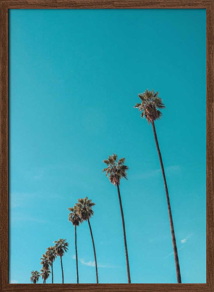 Skydusters - Stretched Canvas, Poster or Fine Art Print - I Heart Wall Art - Poster Print, Canvas Print or Framed Art Print