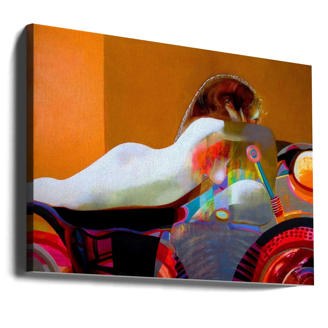 Slow Suzie - Stretched Canvas, Poster or Fine Art Print I Heart Wall Art
