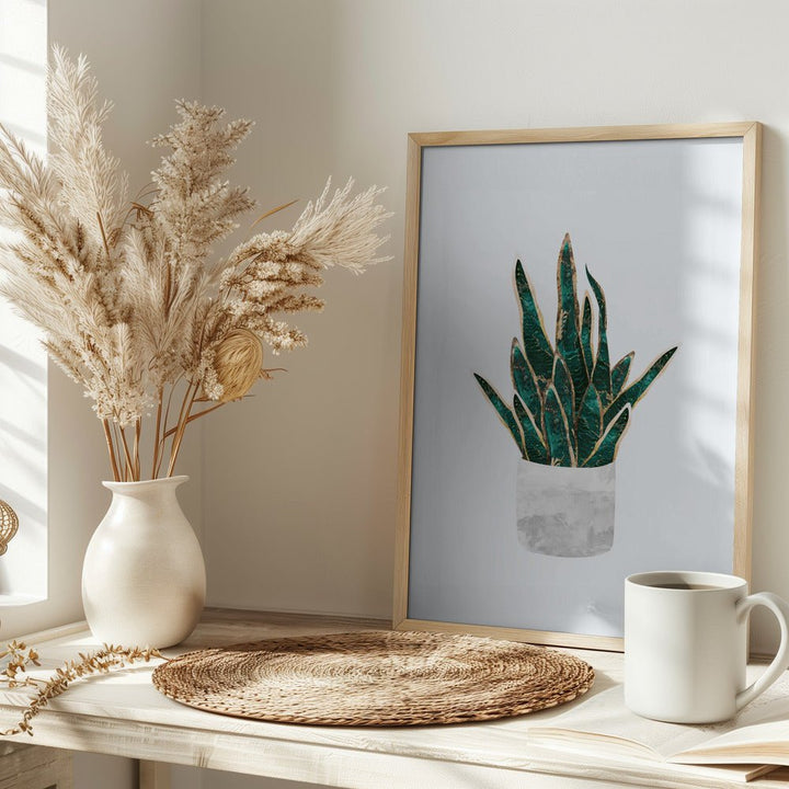 Snake Plant - Stretched Canvas, Poster or Fine Art Print - I Heart Wall Art - Poster Print, Canvas Print or Framed Art Print