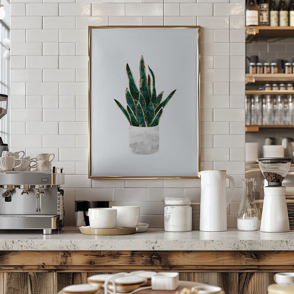 Snake Plant - Stretched Canvas, Poster or Fine Art Print - I Heart Wall Art - Poster Print, Canvas Print or Framed Art Print