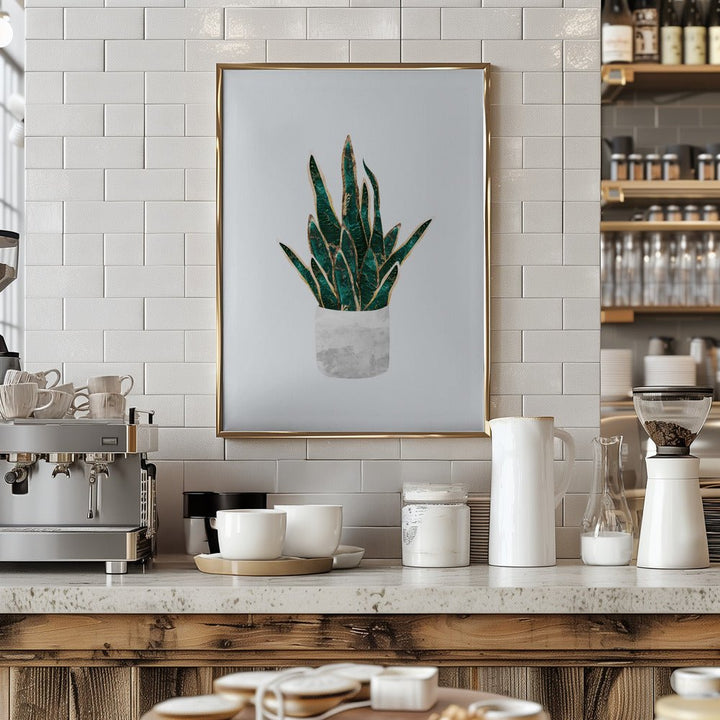 Snake Plant - Stretched Canvas, Poster or Fine Art Print - I Heart Wall Art - Poster Print, Canvas Print or Framed Art Print