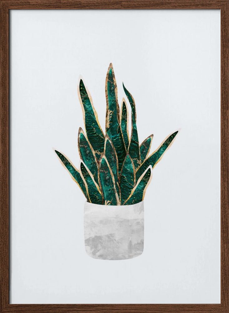 Snake Plant - Stretched Canvas, Poster or Fine Art Print - I Heart Wall Art - Poster Print, Canvas Print or Framed Art Print