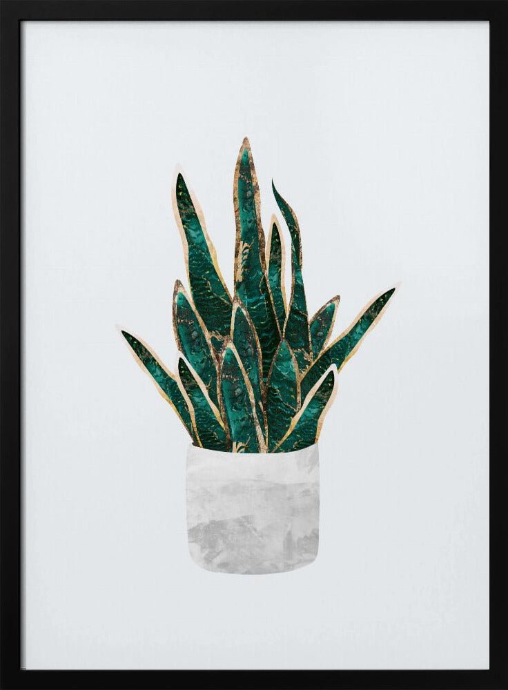 Snake Plant - Stretched Canvas, Poster or Fine Art Print - I Heart Wall Art - Poster Print, Canvas Print or Framed Art Print