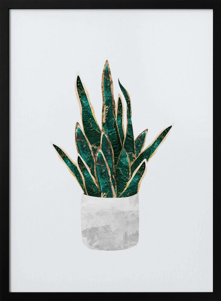 Snake Plant - Stretched Canvas, Poster or Fine Art Print - I Heart Wall Art - Poster Print, Canvas Print or Framed Art Print