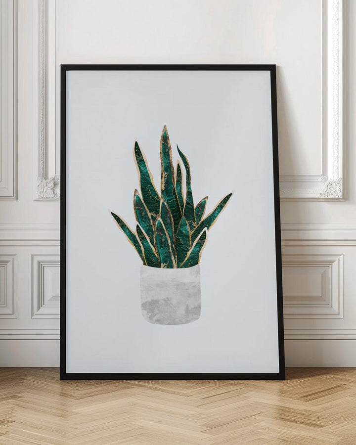 Snake Plant - Stretched Canvas, Poster or Fine Art Print - I Heart Wall Art - Poster Print, Canvas Print or Framed Art Print