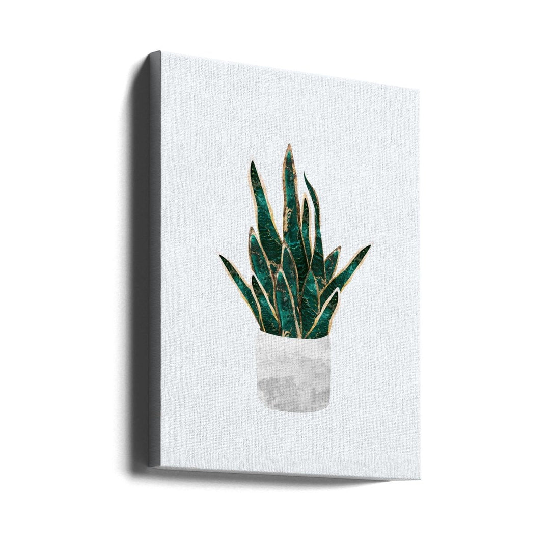 Snake Plant - Stretched Canvas, Poster or Fine Art Print - I Heart Wall Art - Poster Print, Canvas Print or Framed Art Print