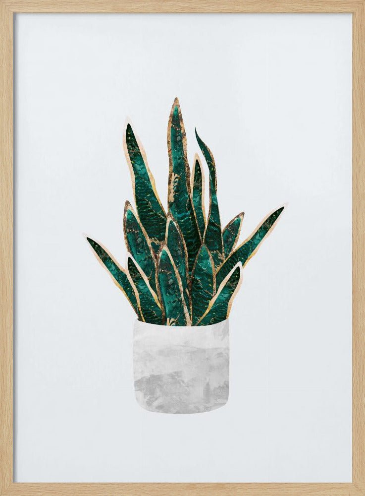 Snake Plant - Stretched Canvas, Poster or Fine Art Print - I Heart Wall Art - Poster Print, Canvas Print or Framed Art Print