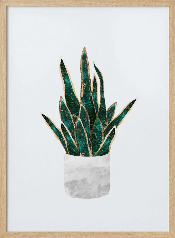 Snake Plant - Stretched Canvas, Poster or Fine Art Print - I Heart Wall Art - Poster Print, Canvas Print or Framed Art Print