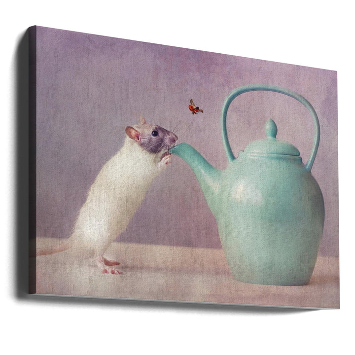 Snoozy  :) - Stretched Canvas, Poster or Fine Art Print I Heart Wall Art