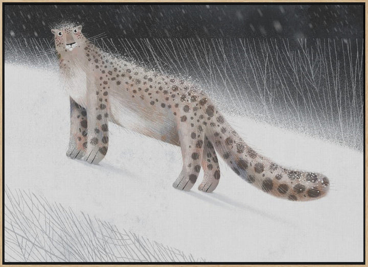 Snow Leopard - Stretched Canvas, Poster or Fine Art Print I Heart Wall Art