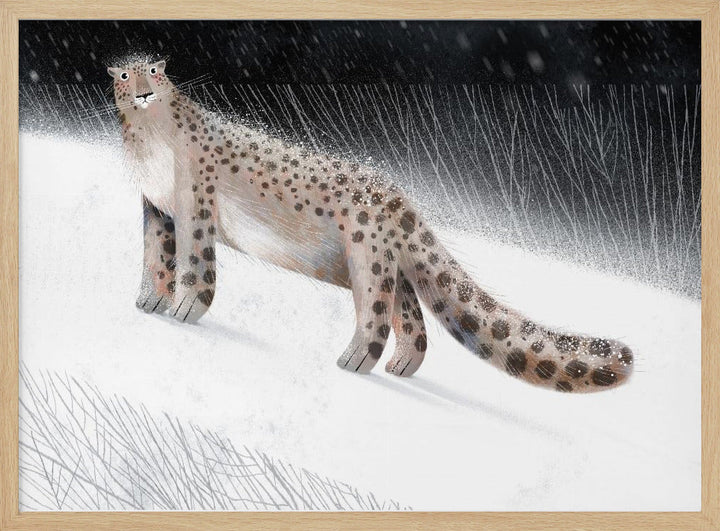 Snow Leopard - Stretched Canvas, Poster or Fine Art Print I Heart Wall Art