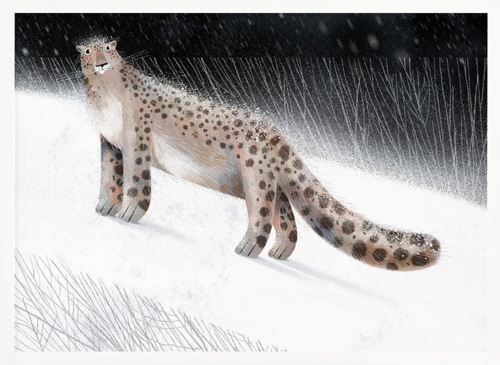 Snow Leopard - Stretched Canvas, Poster or Fine Art Print I Heart Wall Art