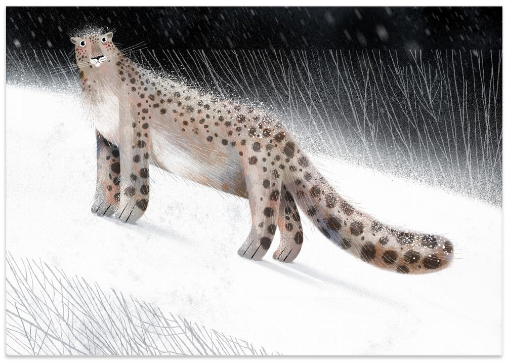 Snow Leopard - Stretched Canvas, Poster or Fine Art Print I Heart Wall Art