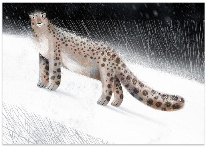 Snow Leopard - Stretched Canvas, Poster or Fine Art Print I Heart Wall Art