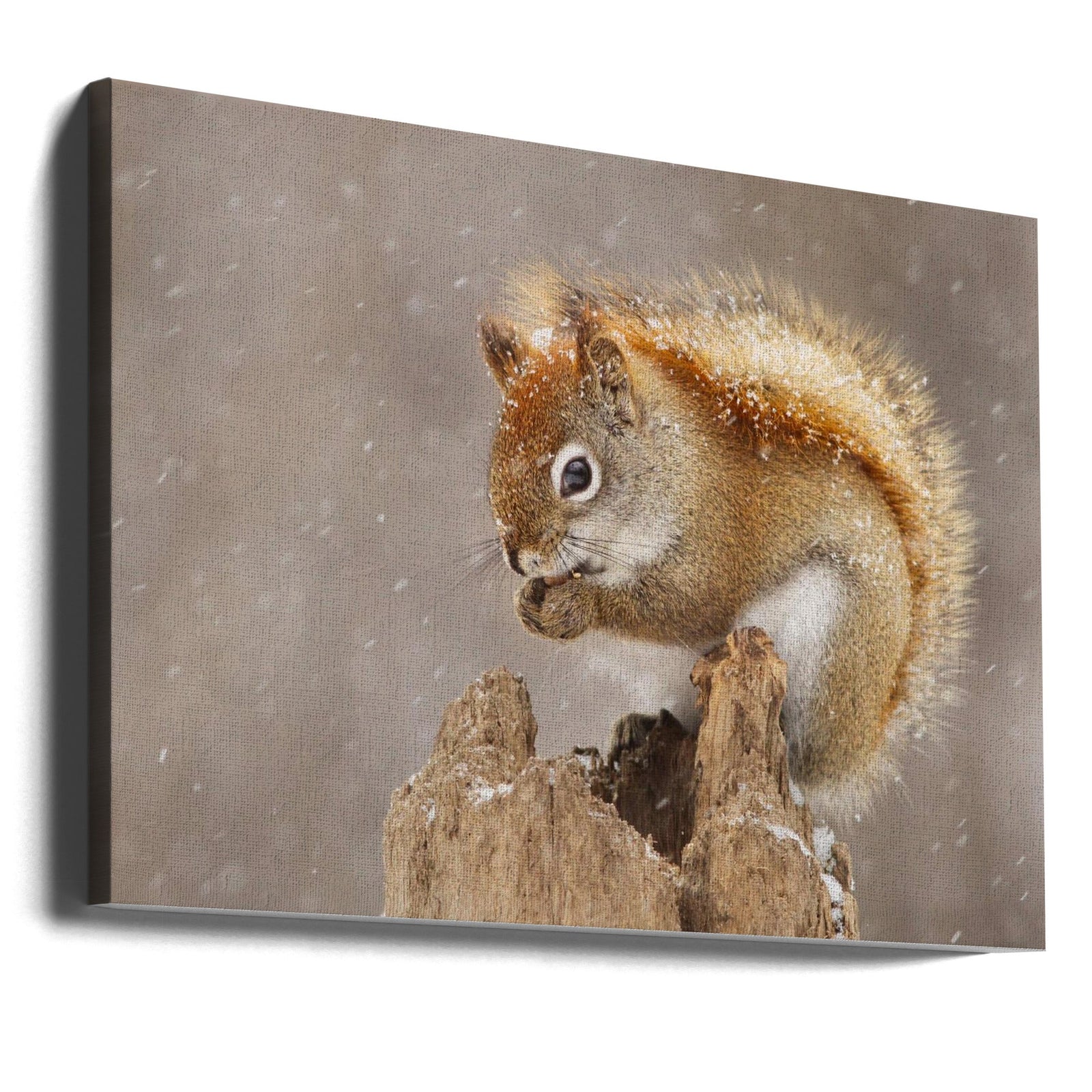 Snow Storm - Stretched Canvas, Poster or Fine Art Print I Heart Wall Art