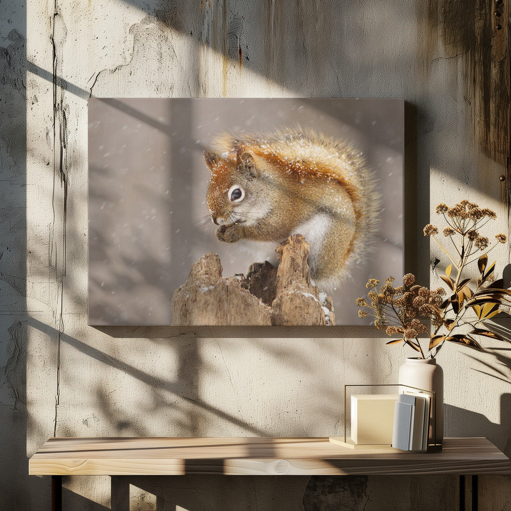Snow Storm - Stretched Canvas, Poster or Fine Art Print I Heart Wall Art