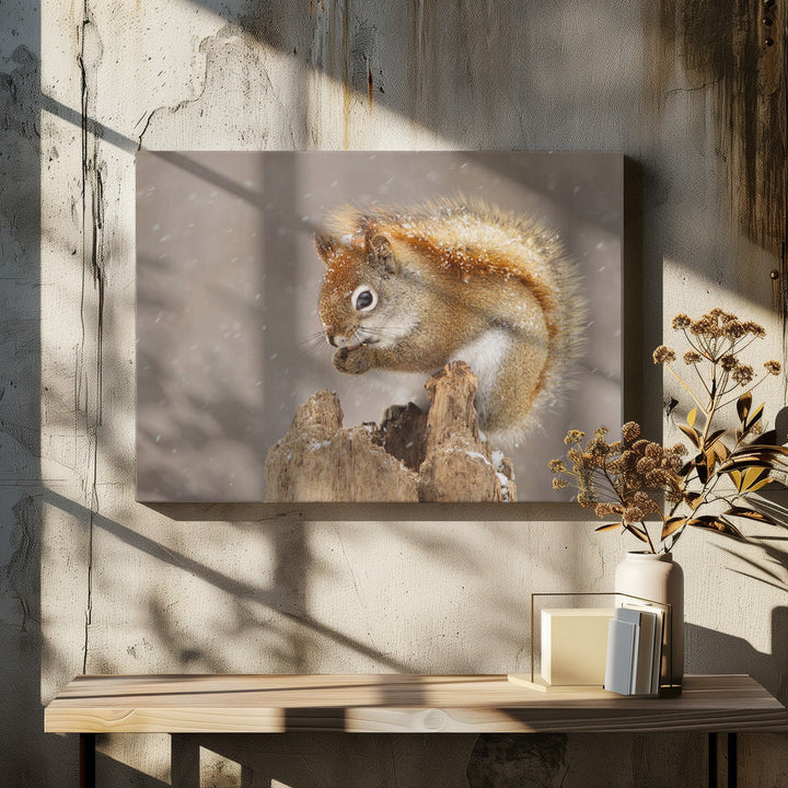Snow Storm - Stretched Canvas, Poster or Fine Art Print I Heart Wall Art