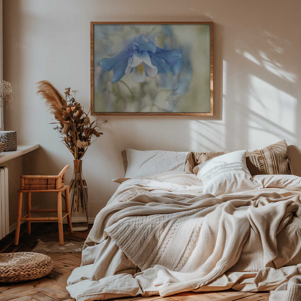 Soft Blue Columbine - Floral Photographic Stretched Canvas Poster or Fine Art Print