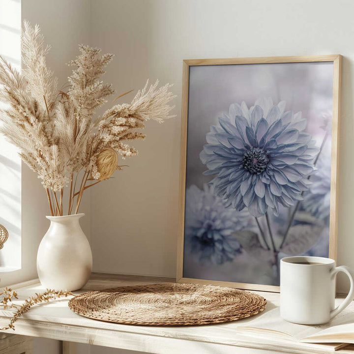 Soft Blue Dahlia Blooms - Floral Photographic Stretched Canvas Poster or Fine Art Print