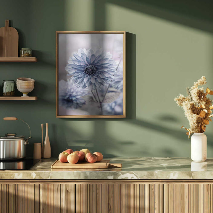 Soft Blue Dahlia Blooms - Floral Photographic Stretched Canvas Poster or Fine Art Print