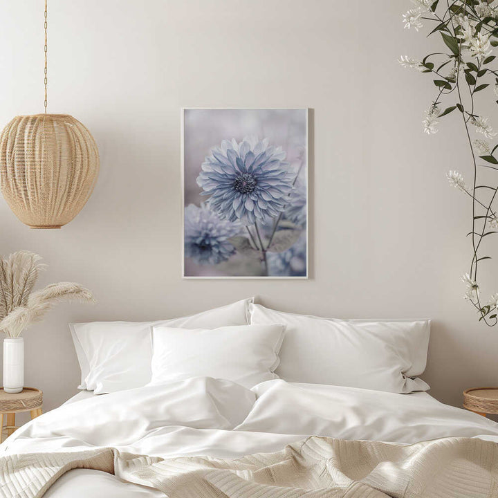 Soft Blue Dahlia Blooms - Floral Photographic Stretched Canvas Poster or Fine Art Print