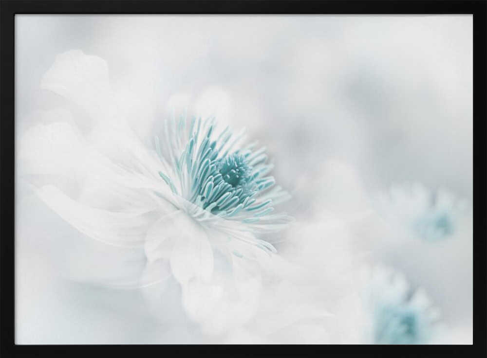 Soft Blue Floral Dream - Photographic Stretched Canvas Poster or Fine Art Print