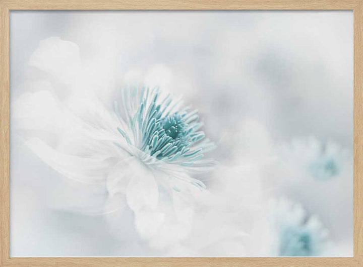 Soft Blue Floral Dream - Photographic Stretched Canvas Poster or Fine Art Print