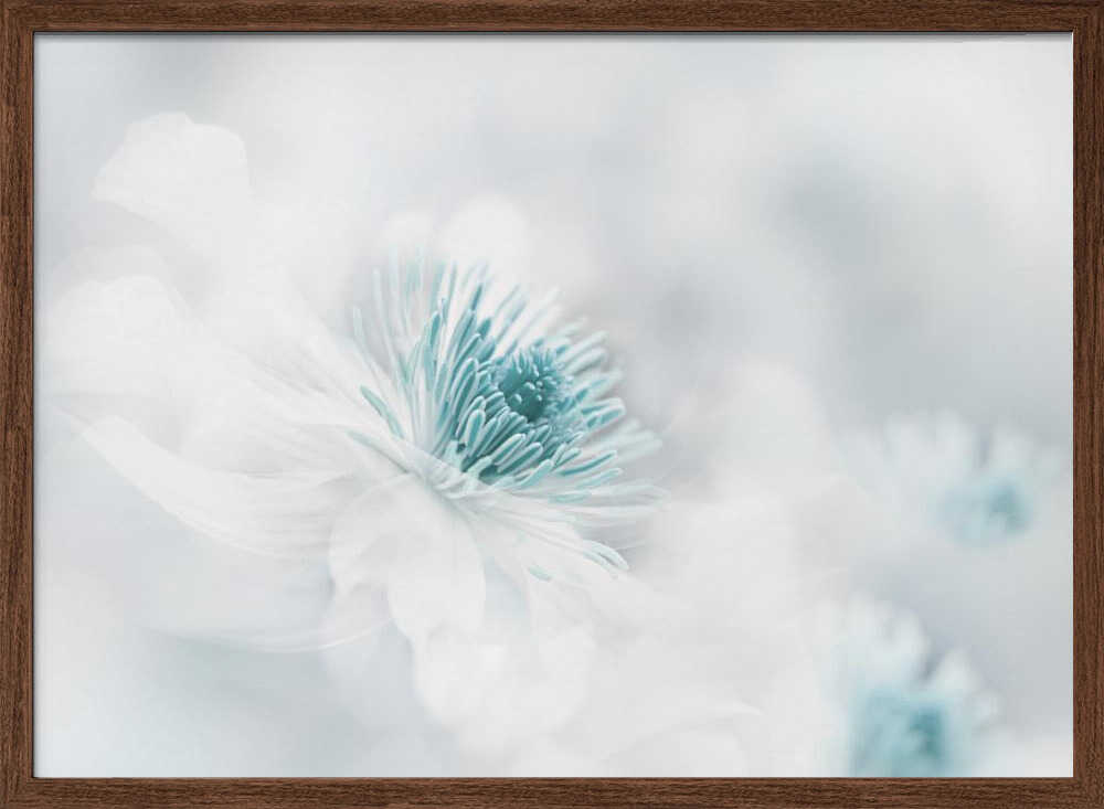 Soft Blue Floral Dream - Photographic Stretched Canvas Poster or Fine Art Print