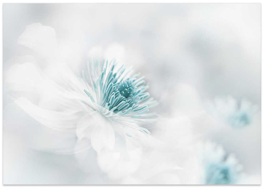 Soft Blue Floral Dream - Photographic Stretched Canvas Poster or Fine Art Print
