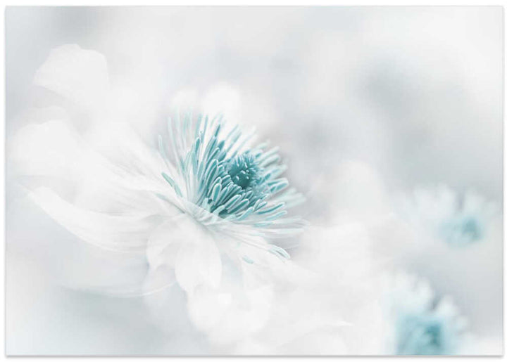 Soft Blue Floral Dream - Photographic Stretched Canvas Poster or Fine Art Print