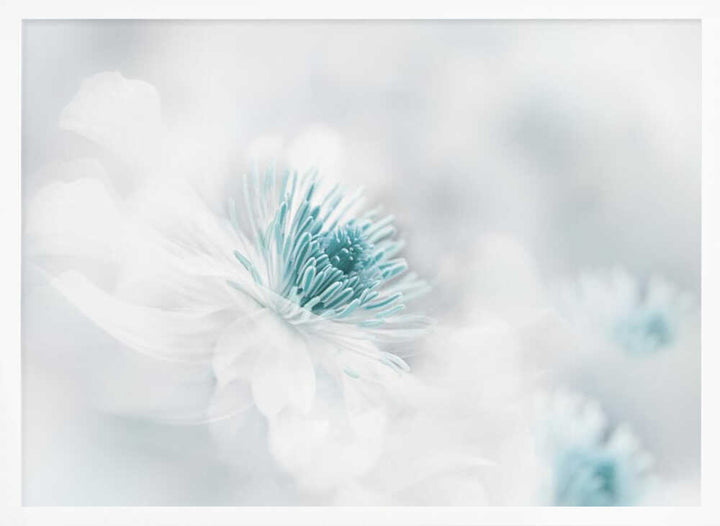 Soft Blue Floral Dream - Photographic Stretched Canvas Poster or Fine Art Print