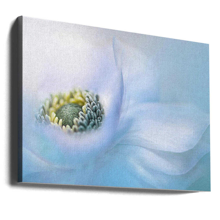Soft Blue Flower - Floral Photographic Stretched Canvas Poster or Fine Art Print