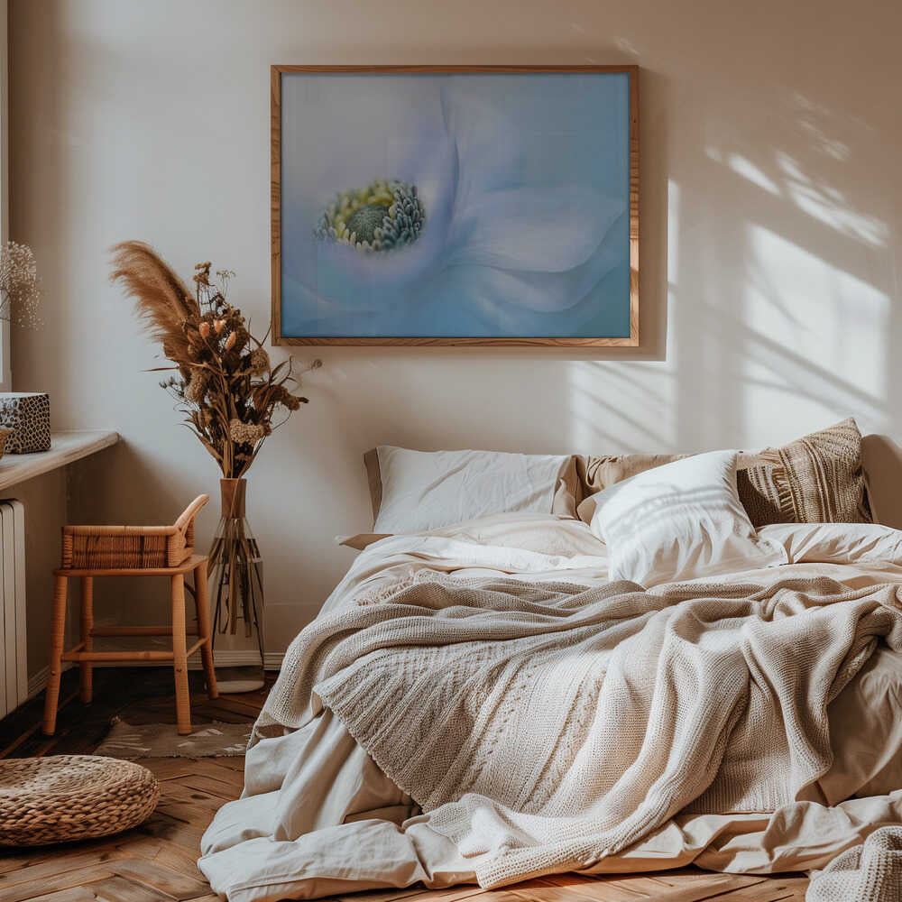 Soft Blue Flower - Floral Photographic Stretched Canvas Poster or Fine Art Print