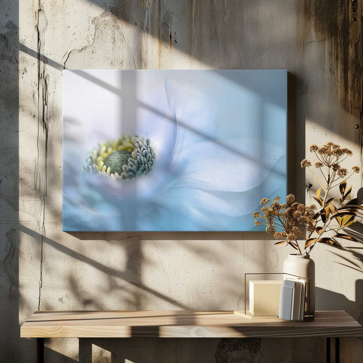 Soft Blue Flower - Floral Photographic Stretched Canvas Poster or Fine Art Print