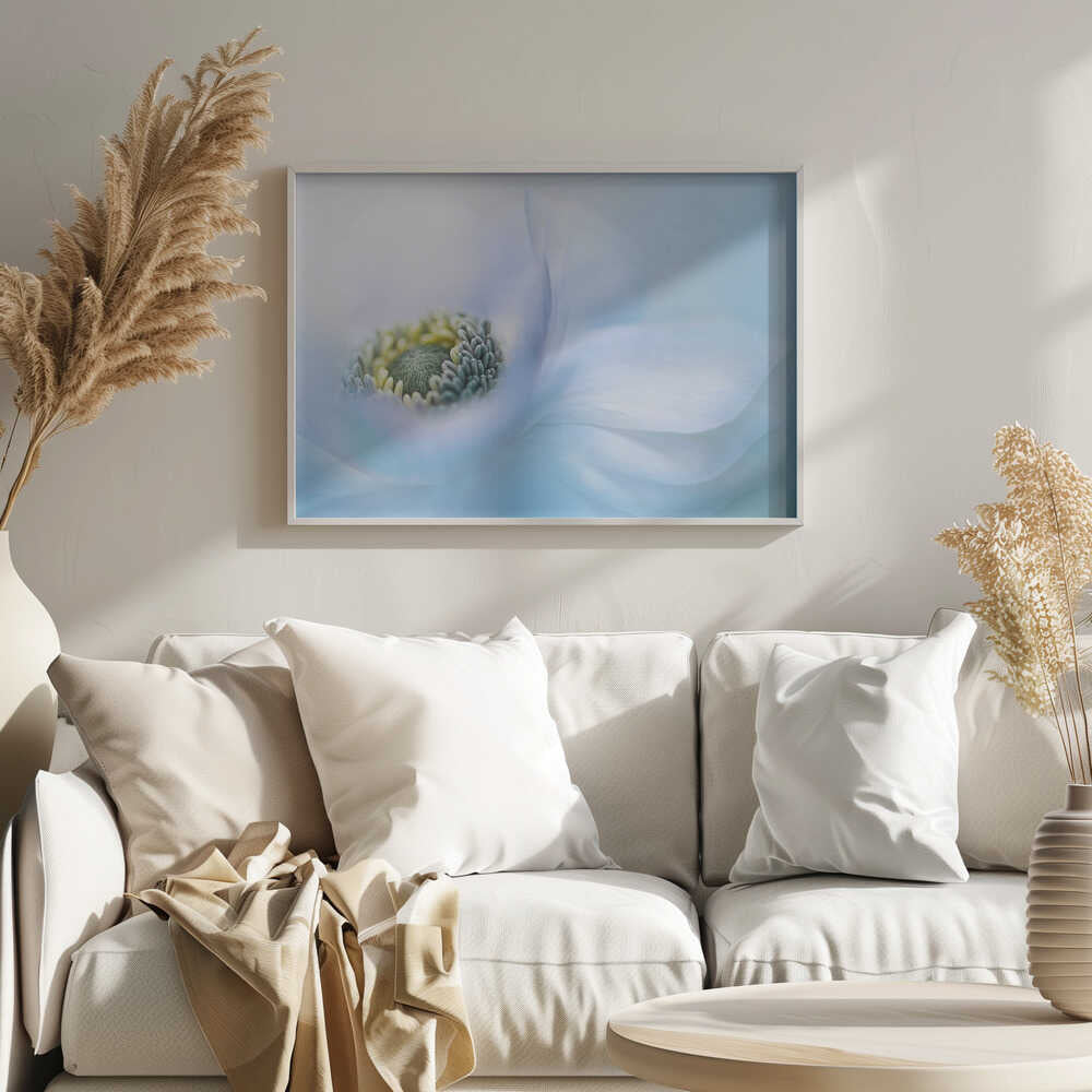 Soft Blue Flower - Floral Photographic Stretched Canvas Poster or Fine Art Print