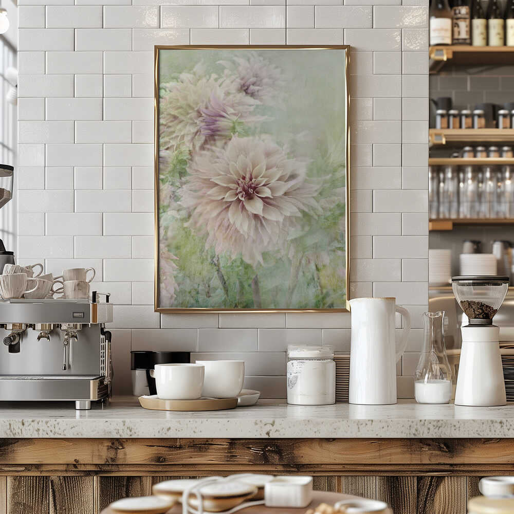 Soft Dahlia Blooms - Floral Photographic Stretched Canvas Poster or Fine Art Print