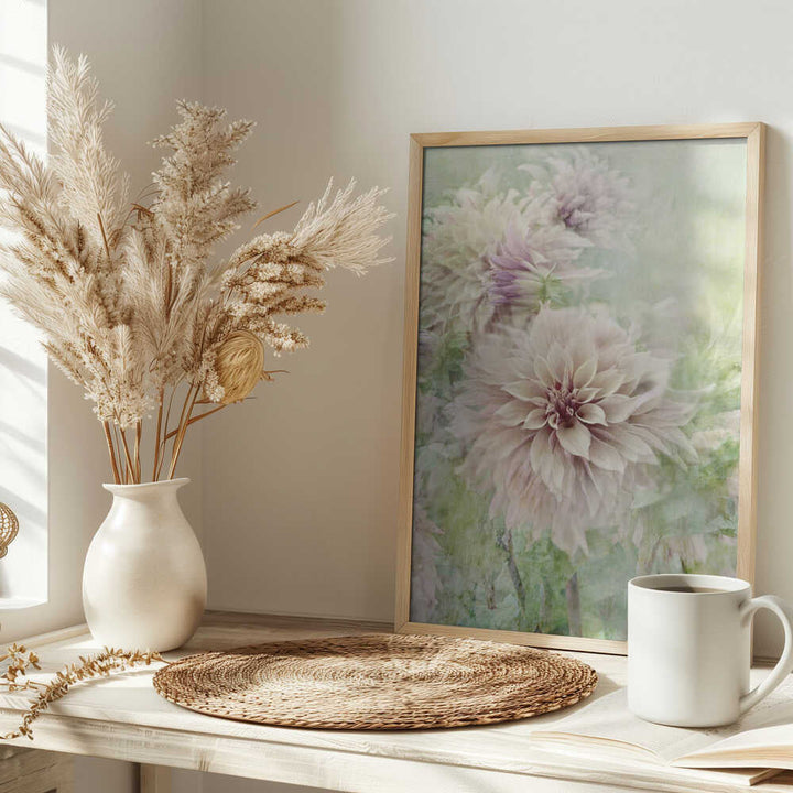 Soft Dahlia Blooms - Floral Photographic Stretched Canvas Poster or Fine Art Print