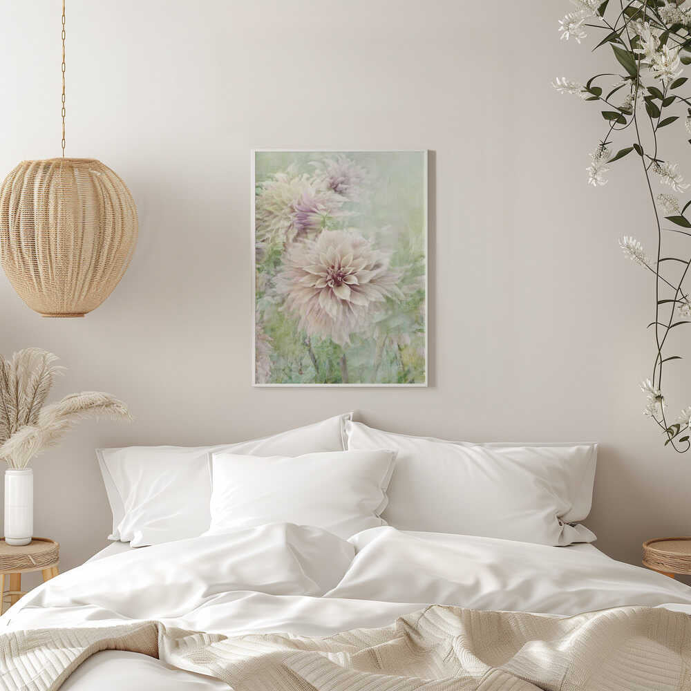Soft Dahlia Blooms - Floral Photographic Stretched Canvas Poster or Fine Art Print
