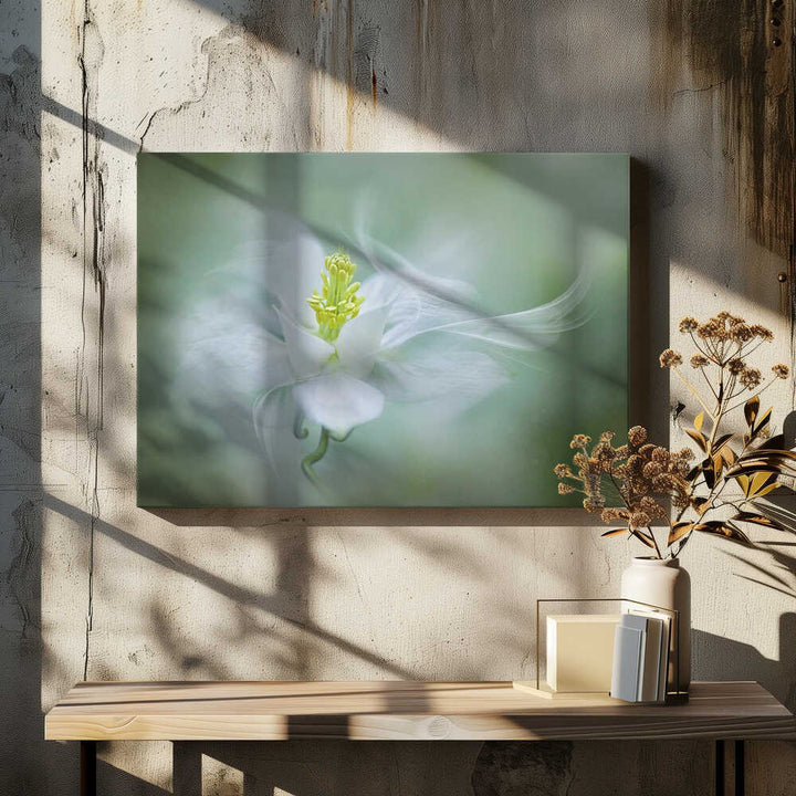 Soft Dreamy Flower - Floral Photographic Stretched Canvas Poster or Fine Art Print