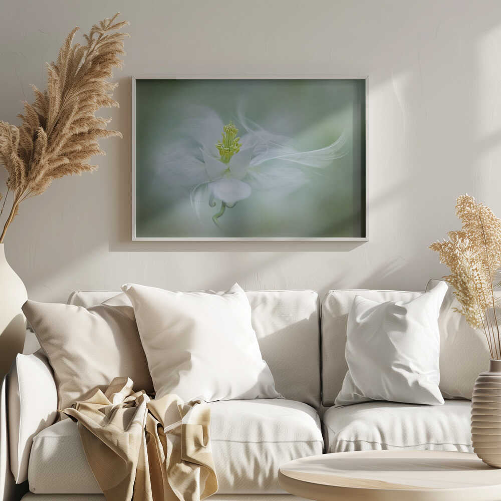 Soft Dreamy Flower - Floral Photographic Stretched Canvas Poster or Fine Art Print