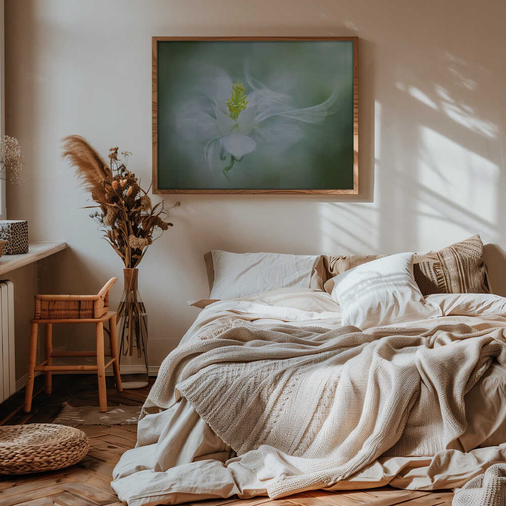 Soft Dreamy Flower - Floral Photographic Stretched Canvas Poster or Fine Art Print