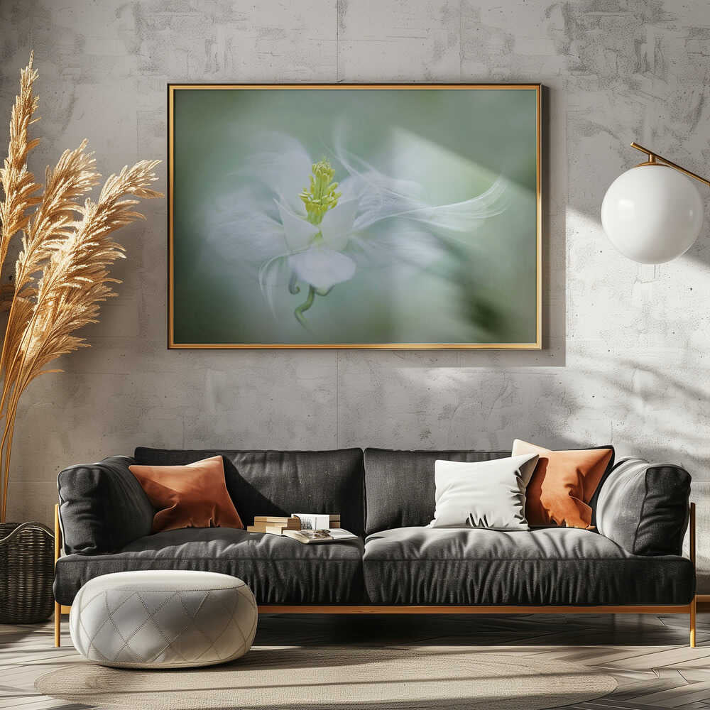 Soft Dreamy Flower - Floral Photographic Stretched Canvas Poster or Fine Art Print