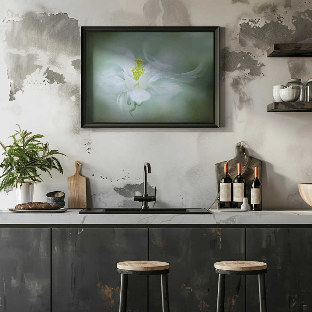Soft Dreamy Flower - Floral Photographic Stretched Canvas Poster or Fine Art Print