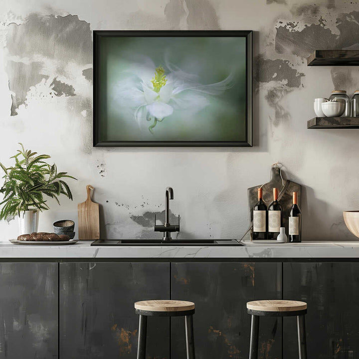 Soft Dreamy Flower - Floral Photographic Stretched Canvas Poster or Fine Art Print
