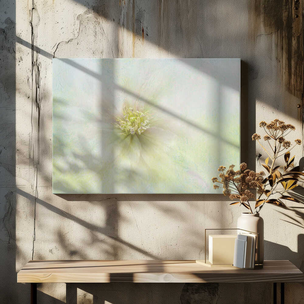 Soft Ethereal Bloom - Floral Photographic Stretched Canvas Poster or Fine Art Print
