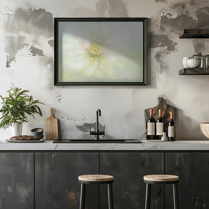 Soft Ethereal Bloom - Floral Photographic Stretched Canvas Poster or Fine Art Print
