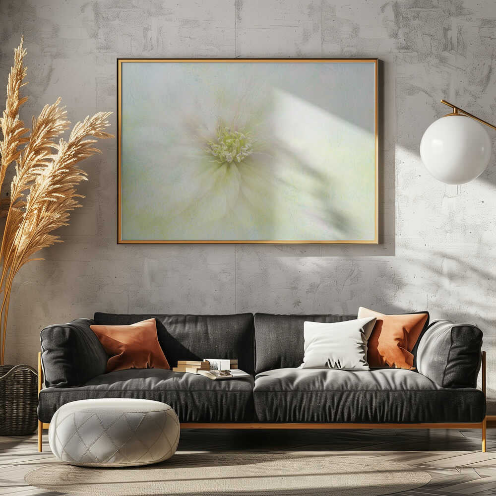Soft Ethereal Bloom - Floral Photographic Stretched Canvas Poster or Fine Art Print