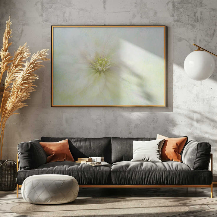 Soft Ethereal Bloom - Floral Photographic Stretched Canvas Poster or Fine Art Print