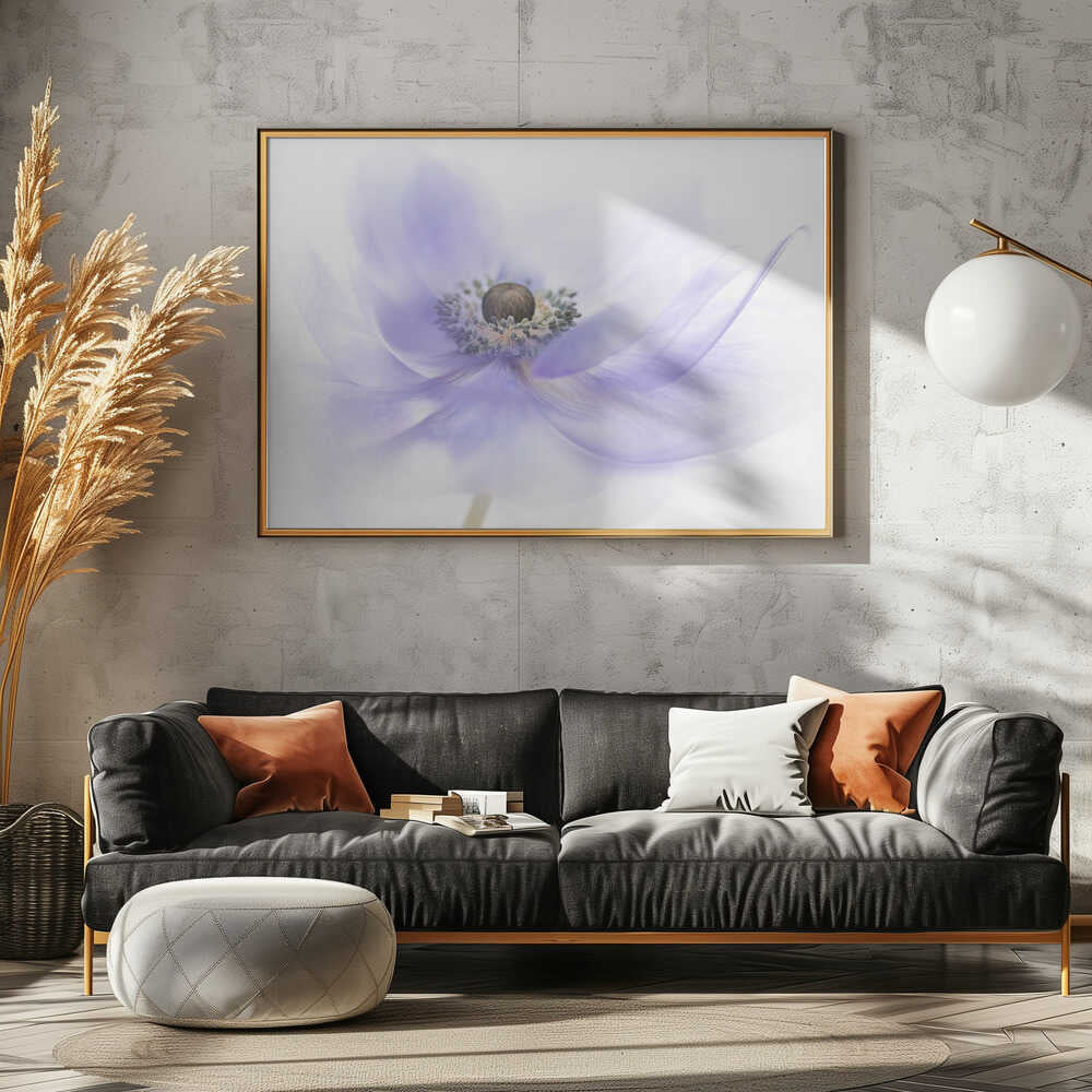 Soft Lavender Anemone - Floral Photographic Stretched Canvas Poster or Fine Art Print