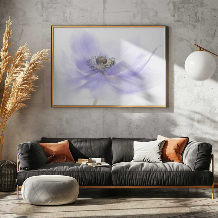 Soft Lavender Anemone - Floral Photographic Stretched Canvas Poster or Fine Art Print